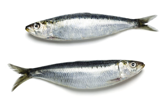 Sardines entières 2kg